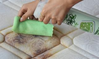 清洗皮革沙发的清洁剂 布艺沙发清洁剂